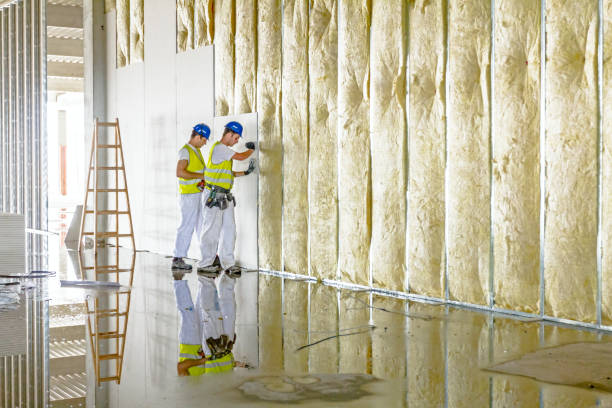 Best Insulation Maintenance and Repair in West, TX